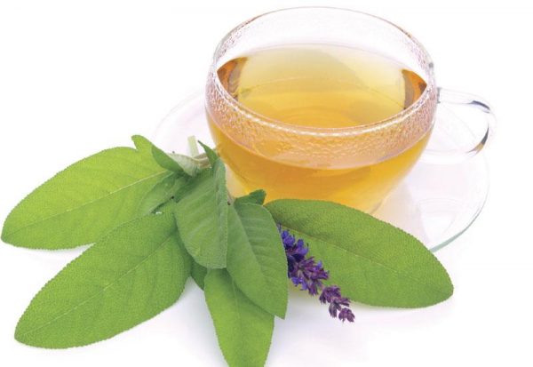 Sage Tea